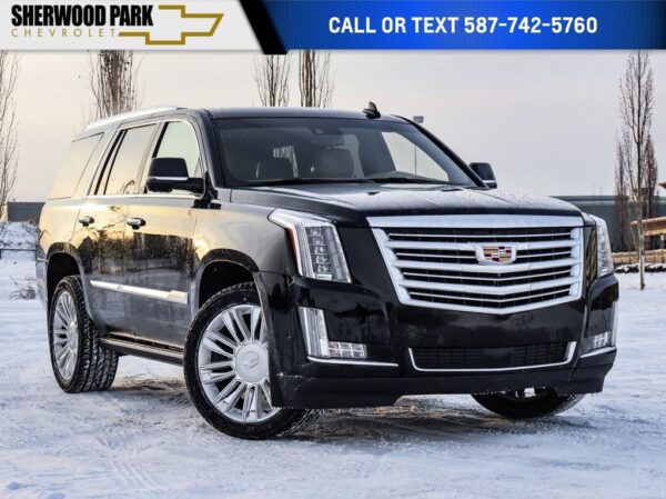 Used 2020 Cadillac Escalade Platinum Edition 6.2L 4WD 10-Speed Automatic Sport Utility on Sale Online at Sherwood Park Auto Credit